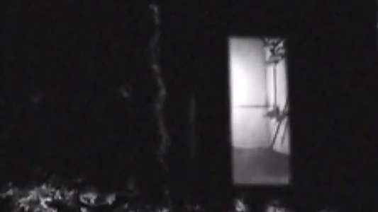 Bug Crawls - Backdrop