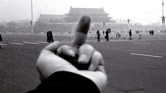 Ai Weiwei: Never Sorry - Backdrop