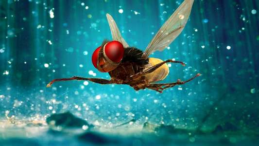 Eega - Backdrops