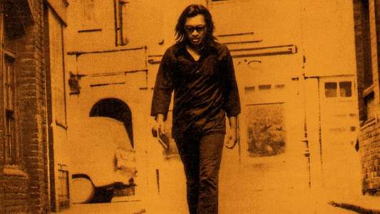 Searching for Sugar Man - Backdrop