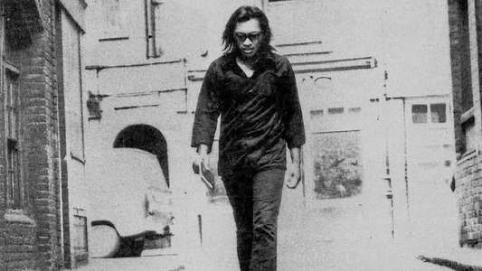 Searching for Sugar Man - Backdrop