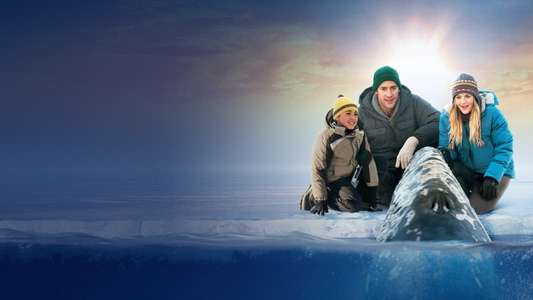 Big Miracle - Backdrop