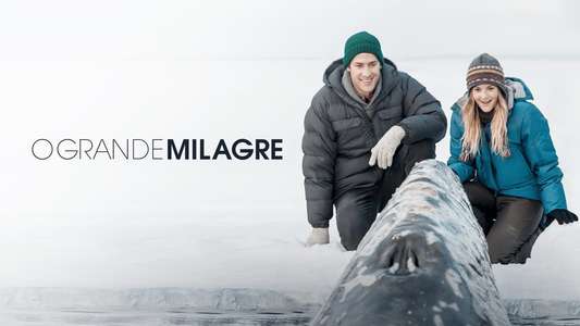 Big Miracle - Backdrop