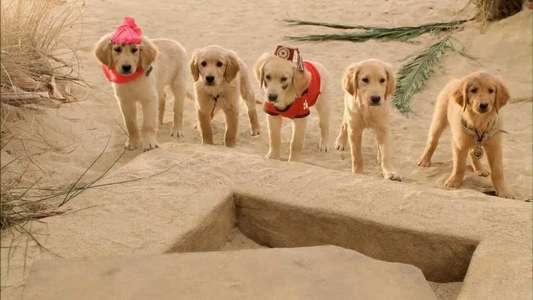 Treasure Buddies - Backdrop