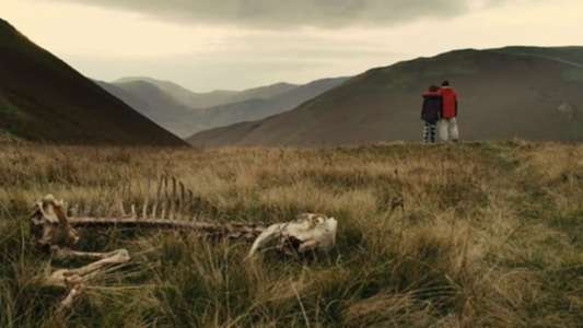 Sightseers - Backdrop