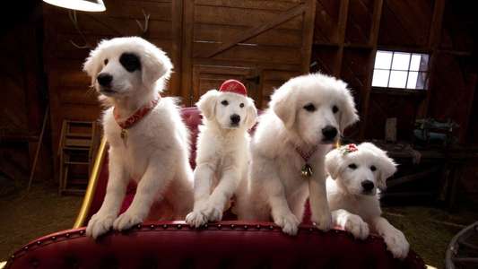 Santa Paws 2: The Santa Pups - Backdrop
