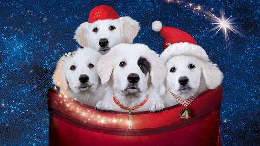 Santa Paws 2: The Santa Pups - Backdrop