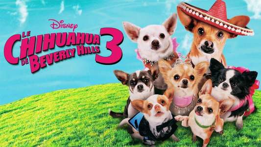 Beverly Hills Chihuahua 3 - Viva La Fiesta! - Backdrop