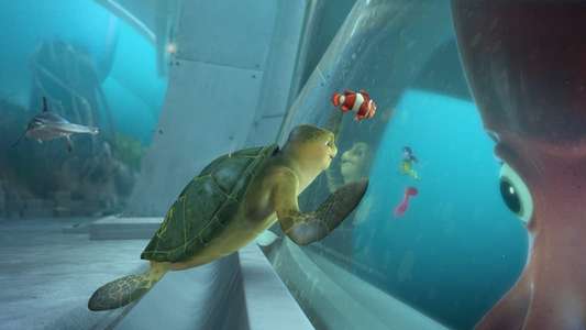 A Turtle’s Tale 2: Sammy’s Escape From Paradise - Backdrop
