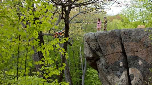 Moonrise Kingdom - Backdrop
