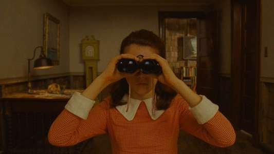 Moonrise Kingdom - Backdrop