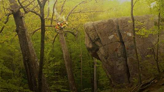 Moonrise Kingdom - Backdrop