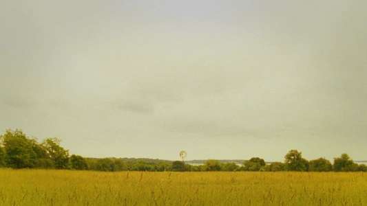 Moonrise Kingdom - Backdrop