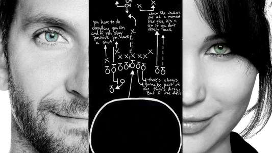 Silver Linings Playbook - Backdrop