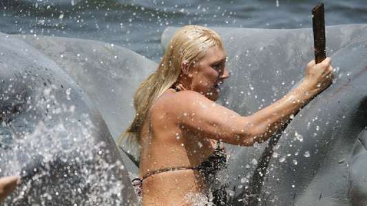 2-Headed Shark Attack - Backdrop