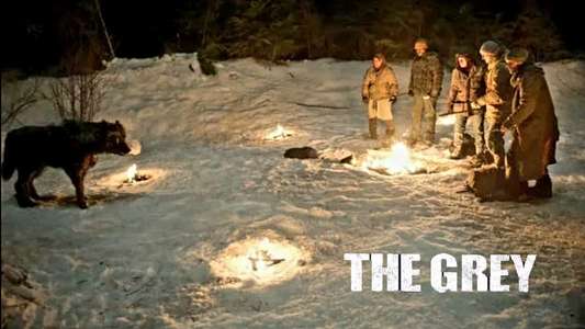 The Grey - Backdrop