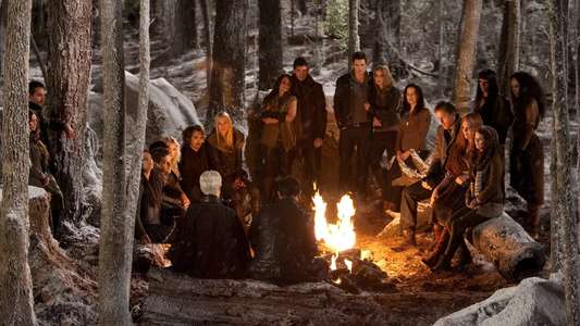 The Twilight Saga: Breaking Dawn - Part 2 - Backdrop