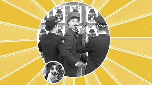 Dr. Plonk - Backdrop