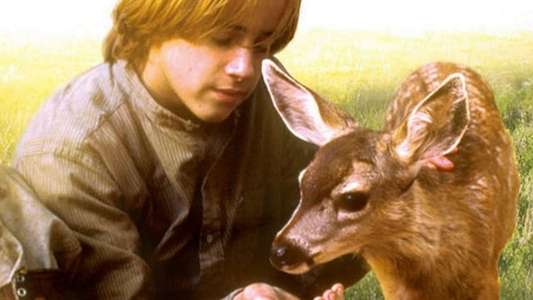 The Yearling - Backdrop