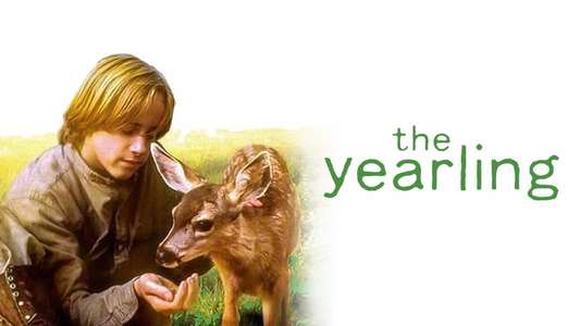 The Yearling - Backdrop
