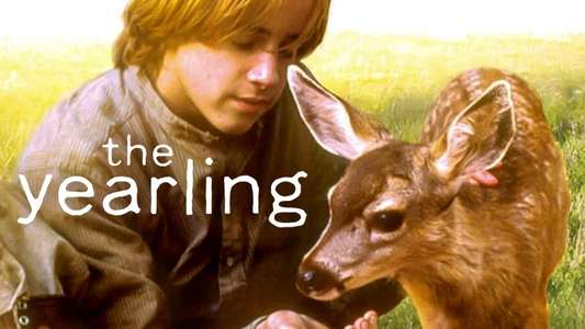 The Yearling - Backdrop