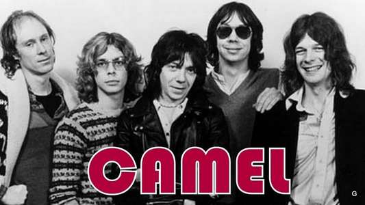 Camel: Moondances - Backdrop