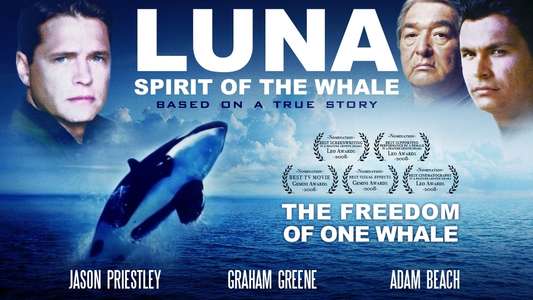 Luna: Spirit of the Whale - Backdrop