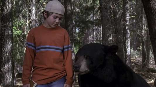 Gentle Ben - Backdrop