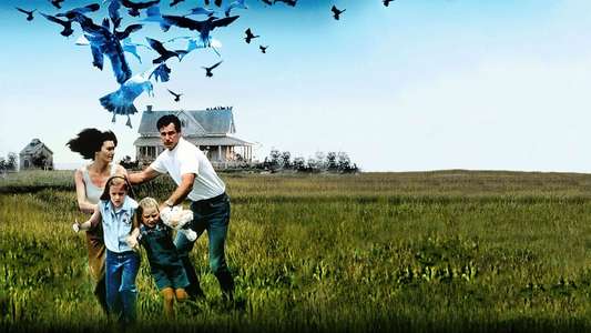 The Birds II: Land's End - Backdrop
