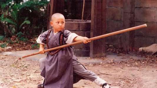 Shaolin Popey - Backdrop