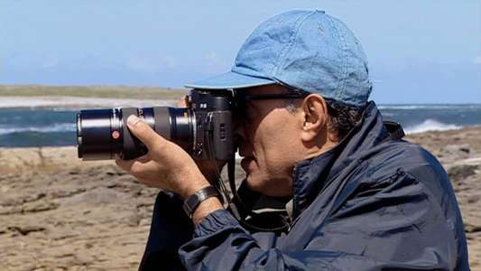 Abbas Kiarostami: The Art of Living - Backdrop