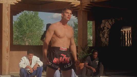 Kickboxer 4: The Aggressor - Backdrop