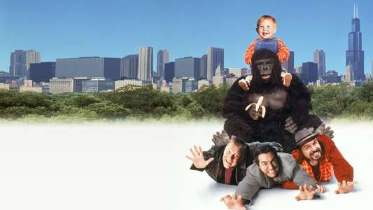 Baby's Day Out - Backdrops