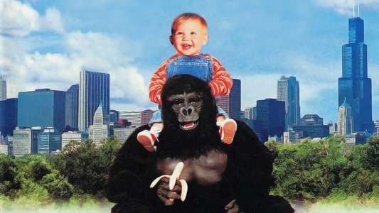 Baby's Day Out - Backdrops