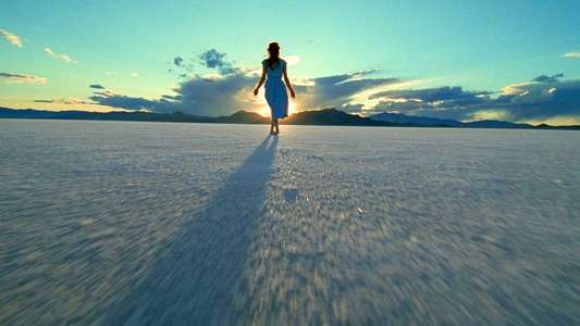 Rosy-Fingered Dawn: A Film on Terrence Malick - Backdrop