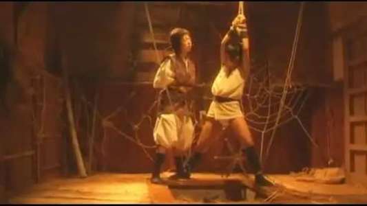 Lady Ninja Kasumi 6 - Backdrop