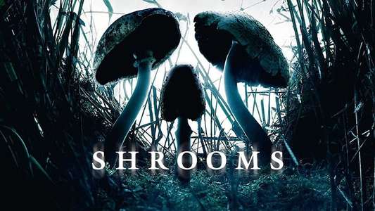 Shrooms - Backdrop