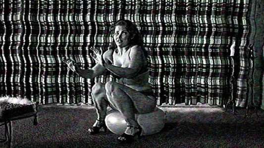 The Poughkeepsie Tapes - Backdrop