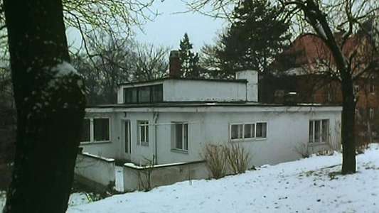 Bauhaus: The Face of the Twentieth Century - Backdrop