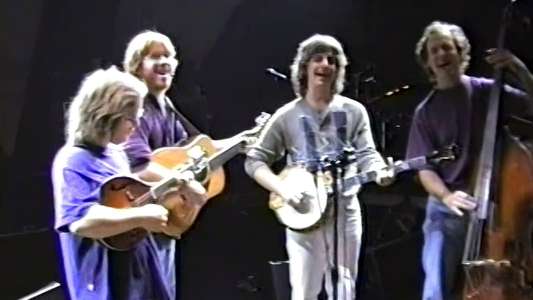 Phish: 1994 Bluegrass Sessions - Backdrop