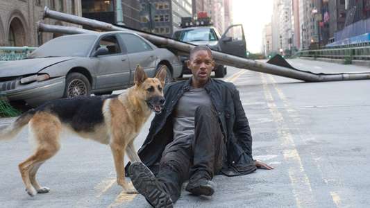 I Am Legend - Backdrop