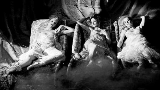 Dracula: Pages from a Virgin's Diary - Backdrop
