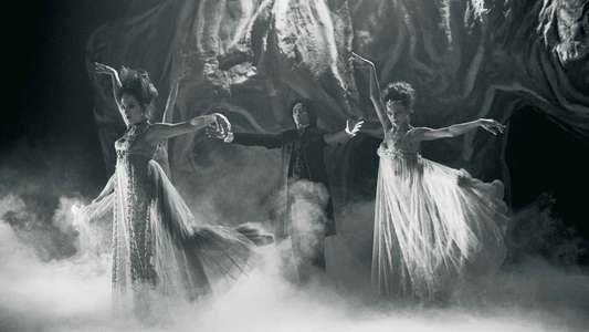 Dracula: Pages from a Virgin's Diary - Backdrop