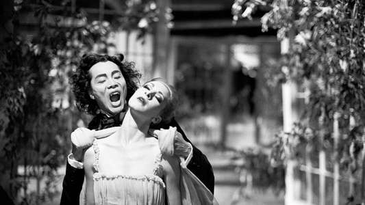 Dracula: Pages from a Virgin's Diary - Backdrop