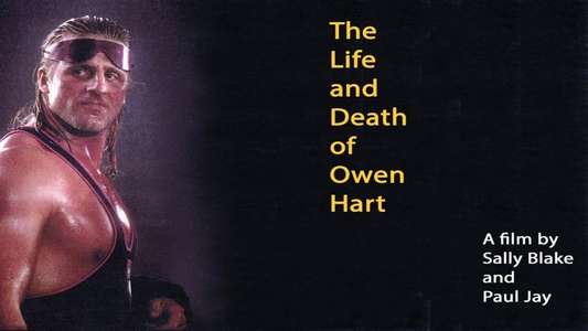 The Life and Death of Owen Hart - Backdrop