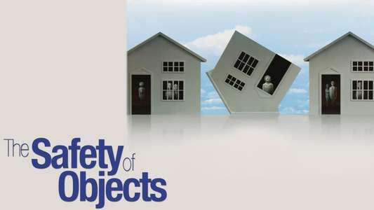 The Safety of Objects - Backdrop