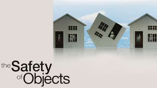The Safety of Objects - Backdrop