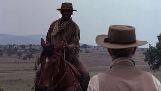 King of Texas - Backdrop