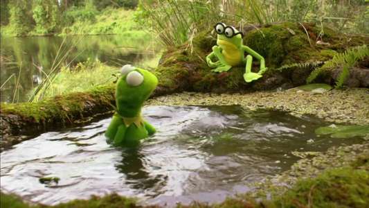 Kermit's Swamp Years - Backdrop