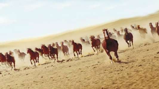 Running Free - Backdrop
